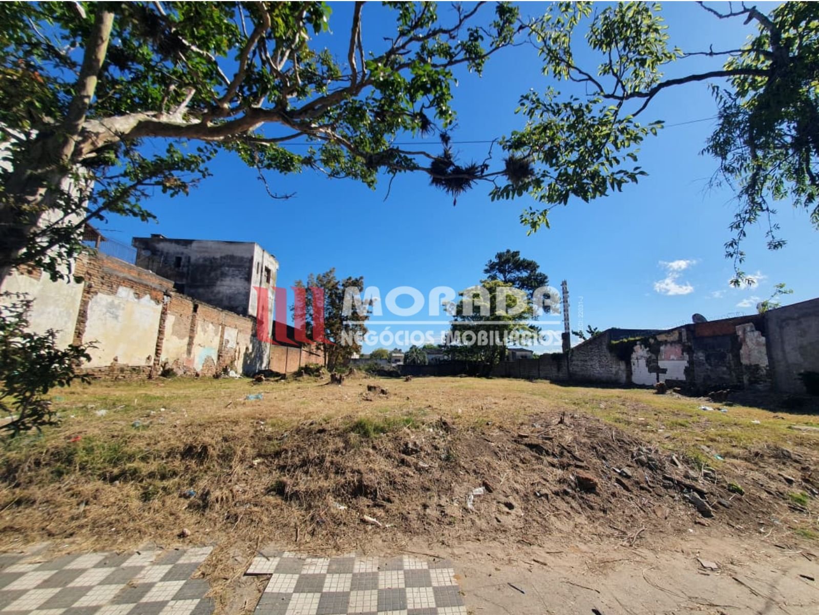 Imóvel Aluguel 1242